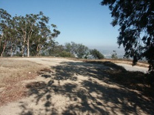 Enlarge photo 122