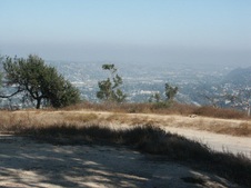 Enlarge photo 123