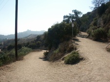 Enlarge photo 125