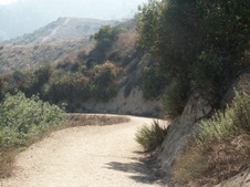 Enlarge photo 126