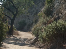 Enlarge photo 127
