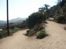 Enlarge photo 129
