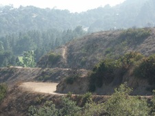 Enlarge photo 130