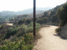 Enlarge photo 131