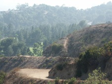 Enlarge photo 133