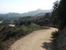 Enlarge photo 135