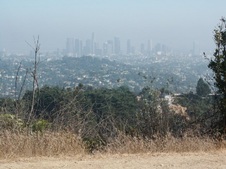 Enlarge photo 136