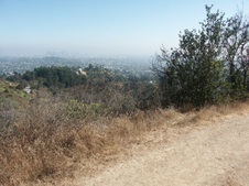 Enlarge photo 138