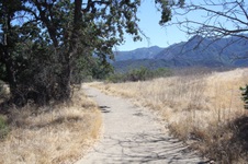 Enlarge photo 3