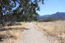 Enlarge photo 4