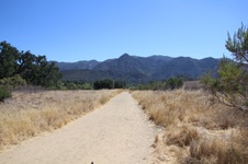 Enlarge photo 5