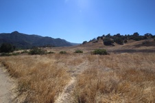 Enlarge photo 7