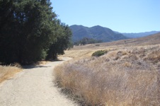 Enlarge photo 9