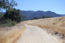 Enlarge photo 10
