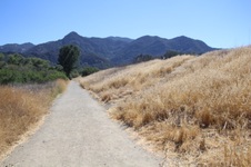 Enlarge photo 11