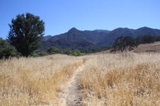 Enlarge photo 15