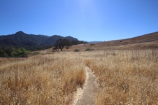 Enlarge photo 16