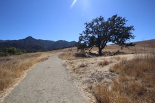 Enlarge photo 18
