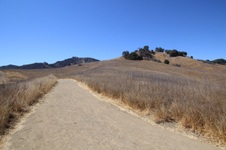 Enlarge photo 25