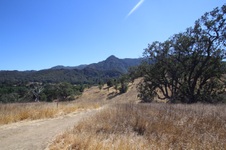Enlarge photo 26