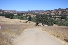 Enlarge photo 28