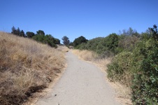 Enlarge photo 30