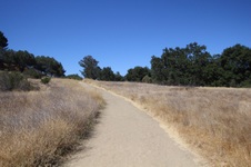 Enlarge photo 32
