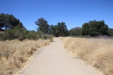 Enlarge photo 33