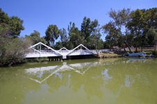 Enlarge photo 35