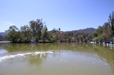 Enlarge photo 36