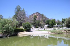 Enlarge photo 38
