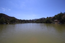 Enlarge photo 43