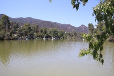 Enlarge photo 45