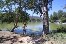 Enlarge photo 47