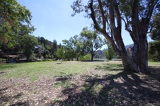 Enlarge photo 50