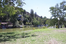 Enlarge photo 52
