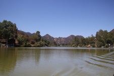 Enlarge photo 57