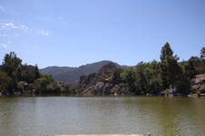 Enlarge photo 59