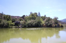 Enlarge photo 63