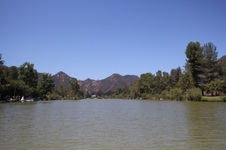 Enlarge photo 71