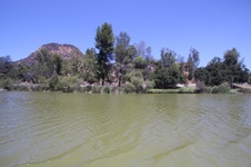 Enlarge photo 72
