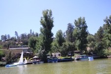 Enlarge photo 73