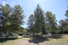 Enlarge photo 81
