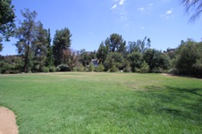Enlarge photo 86