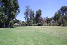 Enlarge photo 88