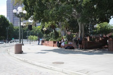 Enlarge photo 16