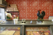 Enlarge photo 15