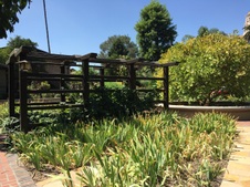 Enlarge photo 7