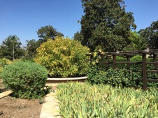 Enlarge photo 9