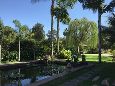 Enlarge photo 27